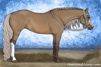 Horse Color:Silver Bay Dun