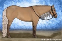 Horse Color:Silver Bay Dun