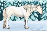 Horse Color:Perlino Dun Tobiano