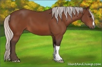 Horse Color:Silver Bay