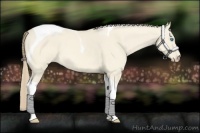 Horse Color:Perlino Dun Tobiano