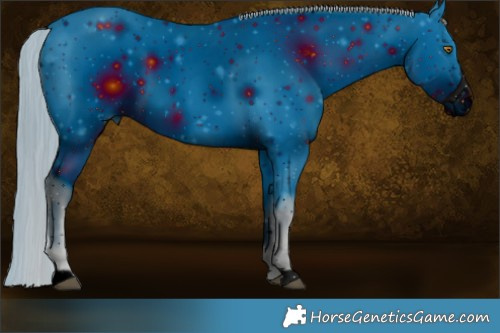 Horse Color:ERROR: UNKNOWN ANOMALY
