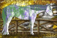 Horse Color:Watercolor Black Ice Splash  and Watercolor Black Ice Splash 