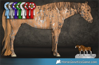 Horse Color:White Spotted Liver Chestnut Frame  Brindle
