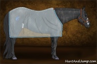 Horse Color:Black  Brindle