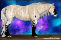 Horse Color:Silver Buckskin Ice Sabino 