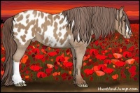 Horse Color:Classic Champagne Appaloosa Brindle
