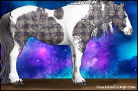 Horse Color:Plaid  White Spotted Smoky Black Ice Splash Tobiano