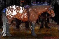 Horse Color:Bay Appaloosa Rabicano 