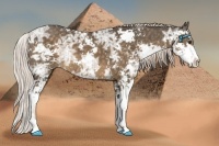 Horse Color:Chocolate Palomino Ice Sabino 