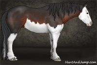 Horse Color:Brown Splash