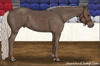 Horse Color:Silver Black 