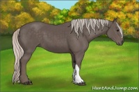 Horse Color:Silver Black 