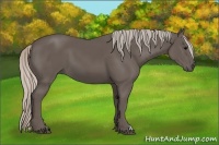 Horse Color:Silver Black 