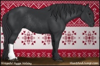 Horse Color:Black Rabicano 