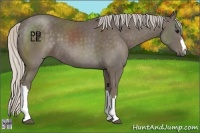 Horse Color:Silver Black 
