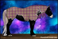 Horse Color:Plaid Chestnut Sabino Splash