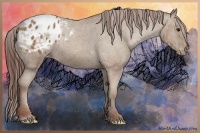 Horse Color:Classic Champagne Appaloosa Brindle