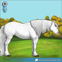 Horse Color:Silver Black Chinchilla Appaloosa