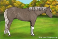 Horse Color:Silver Black 