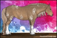 Horse Color:White Spotted Chocolate Palomino Rabicano