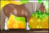 Horse Color:White Spotted Chestnut Rabicano 