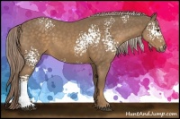 Horse Color:White Spotted Chocolate Palomino Rabicano