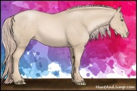 Horse Color:Palomino Pearl Sabino Rabicano
