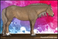 Horse Color:Chocolate Palomino Sabino Rabicano