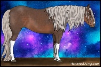Horse Color:Silver Black 
