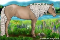 Horse Color:Silver Black Pearl 