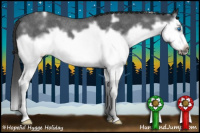 Horse Color:White Spotted Blue Roan Splash Frame Rabicano 