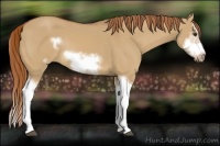 Horse Color:Red Dun Sabino Splash Frame Rabicano