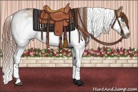 Horse Color:Red Dun Sabino Splash Frame Rabicano