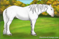 Horse Color:Gray White Spotted Silver Classic Champagne Dun Splash 