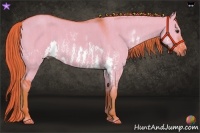 Horse Color:Watercolor Red Dun Sabino Splash  Brindle
