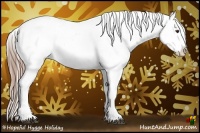 Horse Color:Liver Chestnut Sabino Appaloosa 