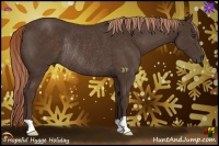 Horse Color:Liver Chestnut Rabicano