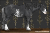 Horse Color:Black Sabino 