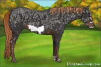Horse Color:Liver Chestnut Ice Frame 