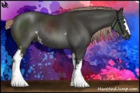 Horse Color:White Spotted Liver Chestnut Rabicano 