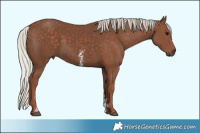 Horse Color:Silver Black Sabino