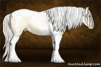 Horse Color:Silver Buckskin Pearl Dun Tobiano