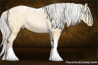 Horse Color:Silver Buckskin Pearl Dun Tobiano