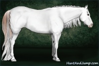 Horse Color:Bay Dun Tobiano Frame Near Leopard 