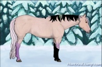 Horse Color:Watercolor Silver Buckskin Roan Dun Tobiano 