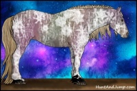 Horse Color:Liver Chestnut Ice Sabino Rabicano 