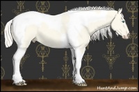 Horse Color:Cremello Dun Tobiano 