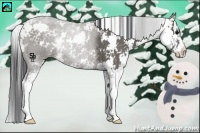 Horse Color:Grullo Sabino