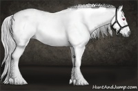 Horse Color:Silver Buckskin Chinchilla Dun Tobiano 